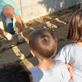 Scuola dell'Infanzia "San Nicola" - Fiumicello di Campodarsego